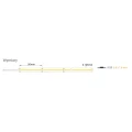Taśma LED COB 320 LED/m 24V 8W/m neutralna 4000K IP20 - wymiary