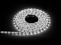 MAX-LED Taśma LED 12V 2835 SMD 60 LED/m 10W/m 1380lm/m wodoodporna nano IP65 biała neutralna